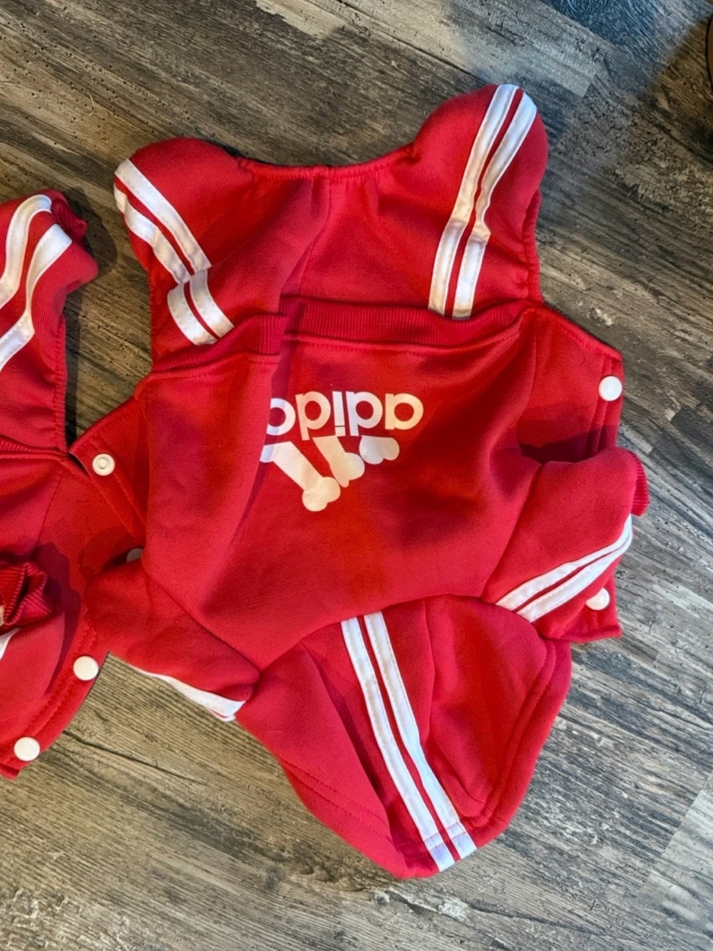 Small Dog Red One-Piece Romper